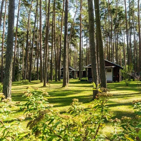 Urlaub im Bungalow mitten im Wald, hotell sihtkohas Lütow