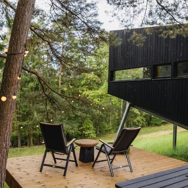 Blackview cabin, hôtel à Kulautuva