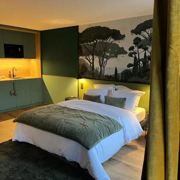 Studios et Appartement meublé de tourisme, hotel u gradu 'Altkirch'