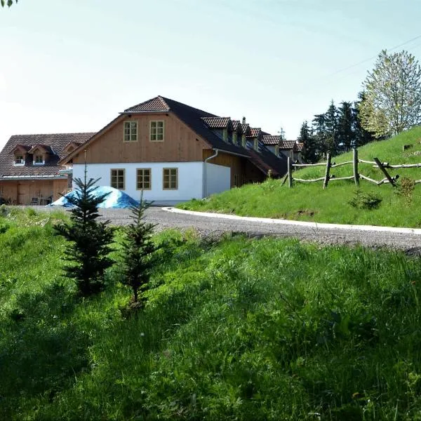 Chata pod Červenou studňou – hotel w Bańskiej Szczawnicy