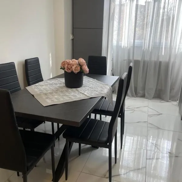 Apartamentul lui Radu, hotel v destinaci Caracal