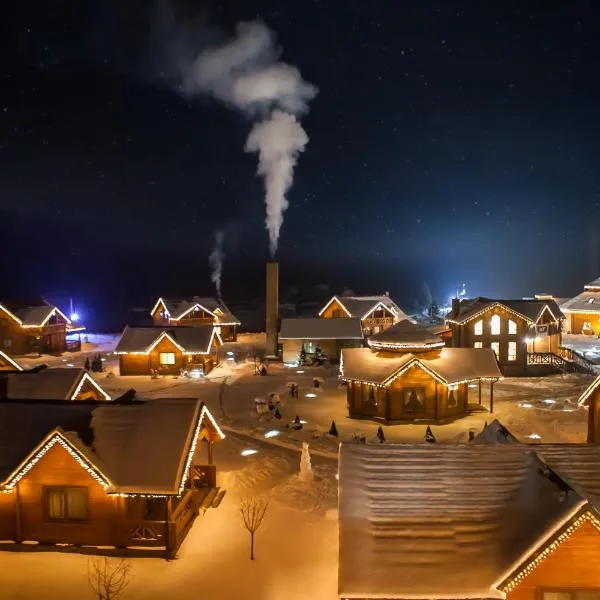 TAOR Karpaty Resort & Spa, hotel in Skhidnitsa