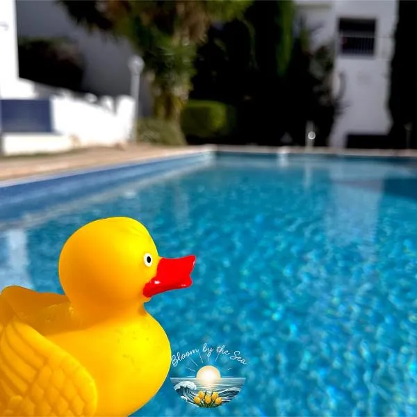 Cozy Escape in Peyia, Sea Caves, hôtel à Peyia