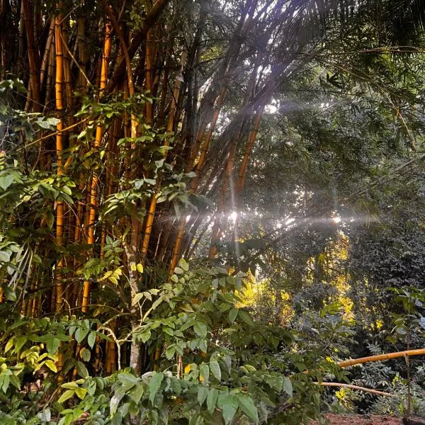 Hiariki Lodge, hotell 