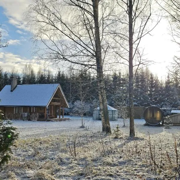 2-bedroom, fenced yard, sauna, 10 min to Pärnu, Hotel in Pärnu