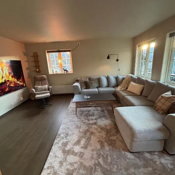 Røldal ski in ski out, hotel en Håra