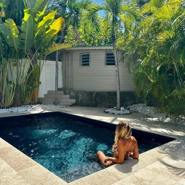 Mahi-Mahi Lodge, piscine privee, orient bay, hotel v destinaci Orient Bay