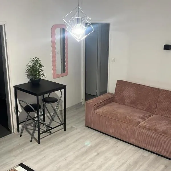 Appartement Bron proche eurexpo et hôpitaux, hotel in Bron