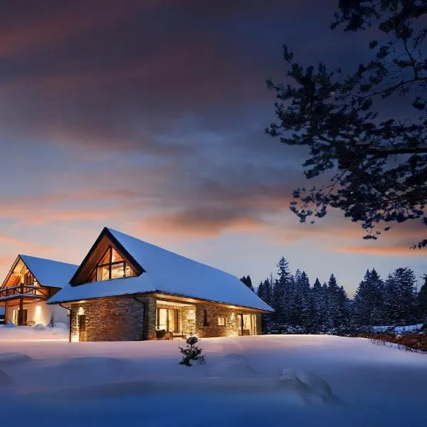 Chalet Mountain Rock - Luxury Retreat at Chalets Kvačianska Dolina，位于斯祖贝莱克的酒店