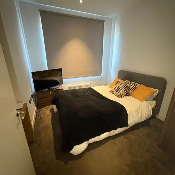 Cozy and Spacious Central London Stay in Canary Wharf with a City View & a Private Bathroom, hotel in London