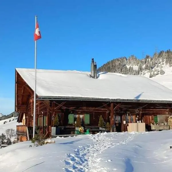 Chalet Chanso, hotel en Morgins