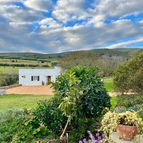 Jonkershuis, מלון בהיידלברג