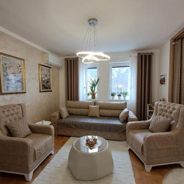 Apartman PETRA QUEEN, hotel en Plužine