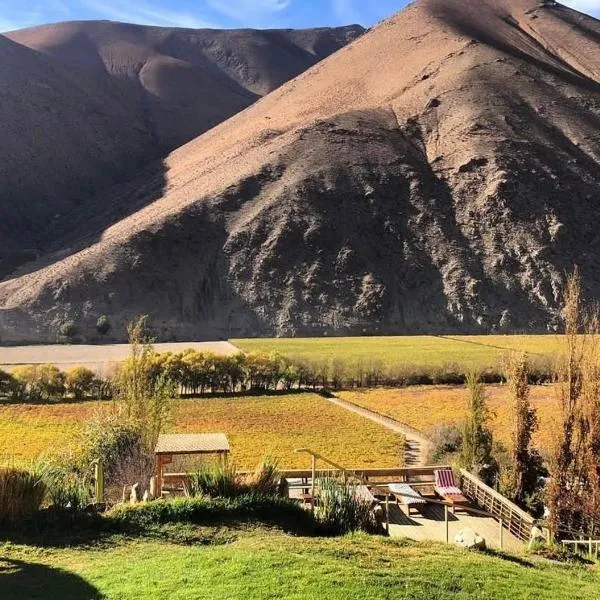 Cabañas Elquimista, hotel in Pisco Elqui