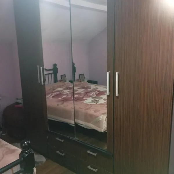 Casa Camelia, Hotel in Craiova