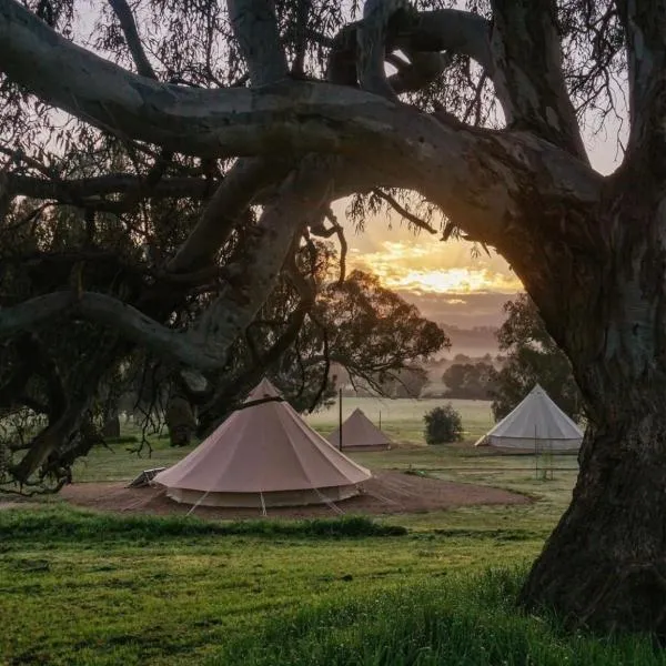 Mansfield Glamping - Adults-Only Luxury Bell Tents with Mt Buller Views, hotel v destinaci Mansfield
