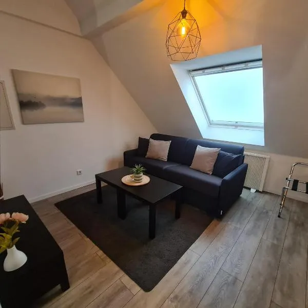 Apartmenthaus Çelik Bielefeld Süd Senne, Hotel in Bielefeld