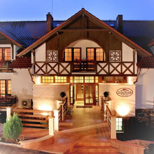 Hotel Dziki Potok Karpacz, готель у Карпачі