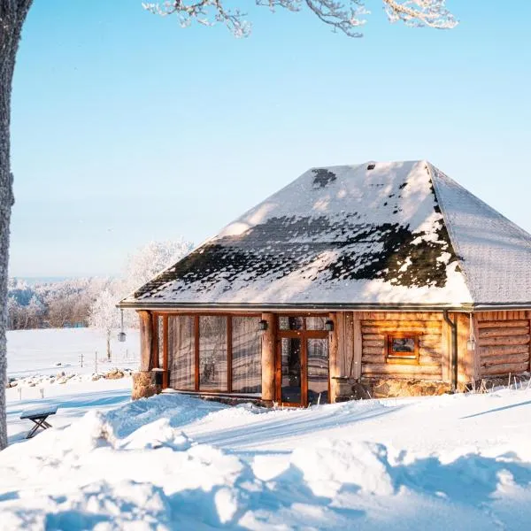 Metsapiiga Puhkemaja, hôtel à Vilina