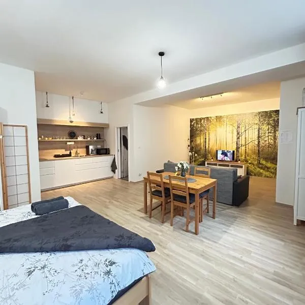 Ubytování v srdci Písku, hotel din Písek