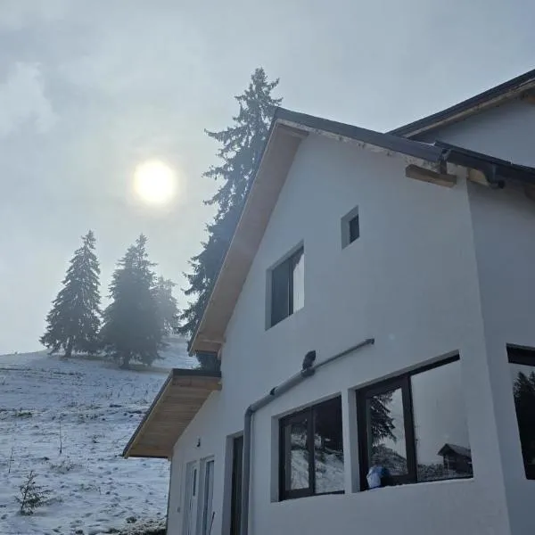 Casa Heaven, hotel u gradu 'Dîmbovicioara'