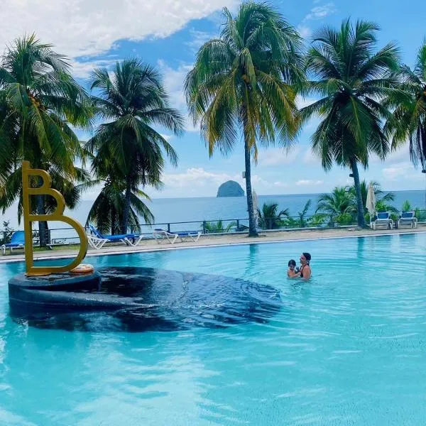 Ti studio coquet vue mer 180 degrés face Diamant, piscine de standing, hotel v destinaci Le Diamant