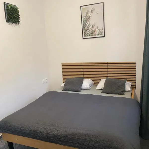 Natura, ξενοδοχείο σε Trencianske Teplice