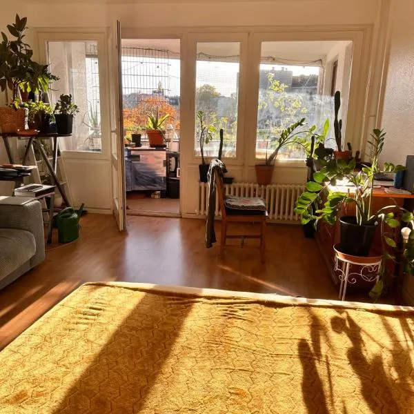 1 Zimmer mit Aussicht und 1 Zimmer mit Balkon in 4 Zimmer Wohnung, Szene, Parks und Top Lage, hôtel à Berlin