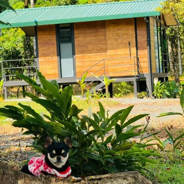 Cabañas La Hermosa #1、グアピレスのホテル