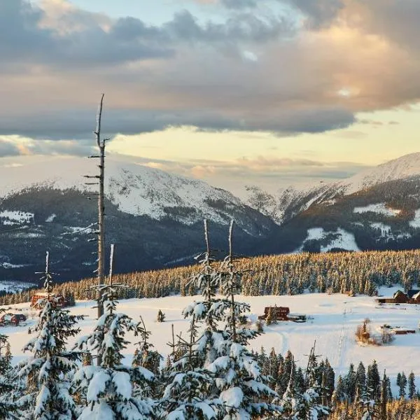 Hotel Vydrovy boudy Pec pod Sněžkou，位于派克波特斯耐兹库的酒店