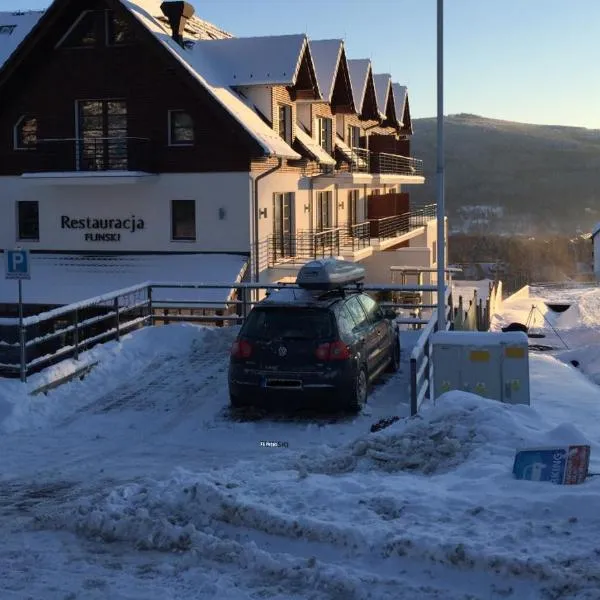 Flinski Sport X SPA, Boutique X Art, Hotel in Świeradów-Zdrój