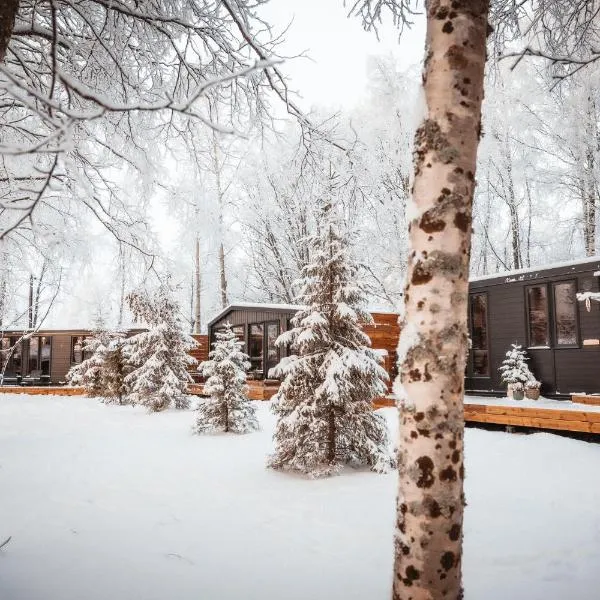 Aava Riverside，位于罗瓦涅米的酒店