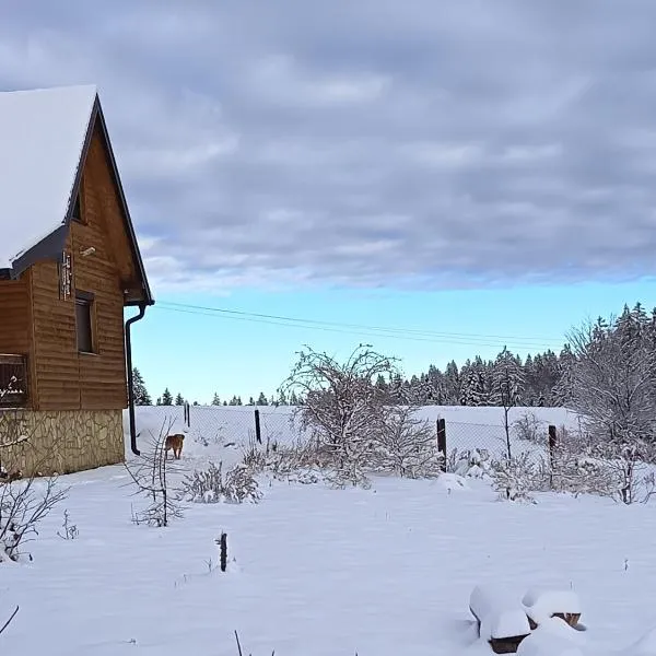 Tarin zov – hotel w mieście Kaludjerske Bare