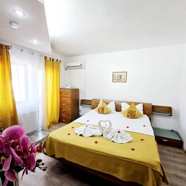 Pensiunea Red Rose Apartments, hotel in Timişoara