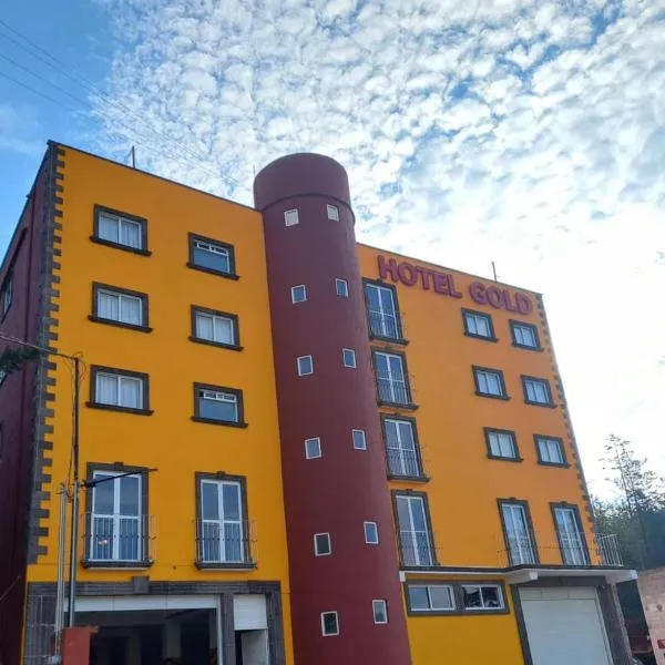 HOTEL GOLD, hotel El Oro de Hidalgóban