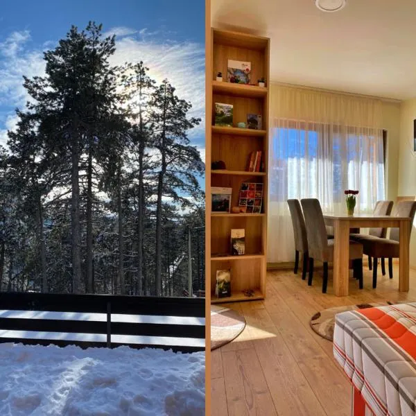 Vila Mirjana Tara，位于卡鲁德杰尔斯科巴尔的酒店