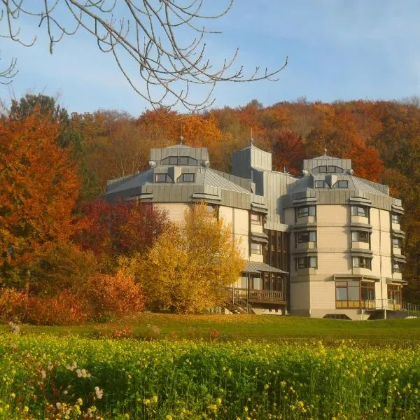 ヘルムート ヴァスマー ユーゲントヘアベルグ レラッハ（Hellmut-Waßmer-Jugendherberge Lörrach）、レラハのホテル