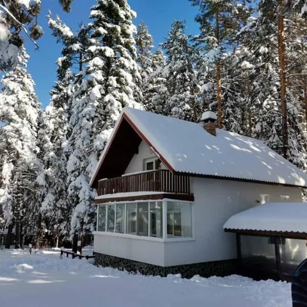 Вилно селище Тракия- почивка сред природата, hotel en Tsigov Chark