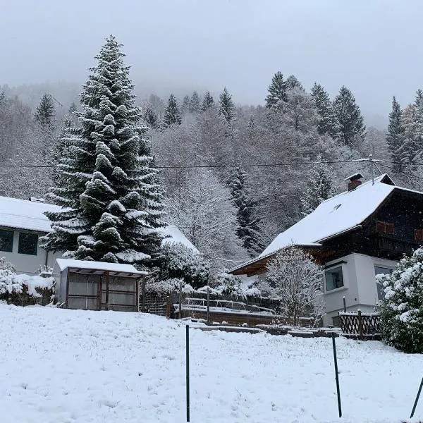 Haus St Peter , op 5 auto minuten van een geweldig skigebied, hotel in Radenthein