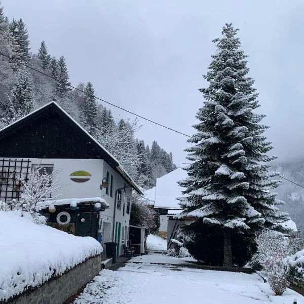 Haus St Peter , op 5 auto minuten van een geweldig skigebied, hotel en Radenthein