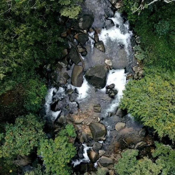 Hill Rows Plantation and Forest Experience By GreenEscapes, hotell sihtkohas Vythiri