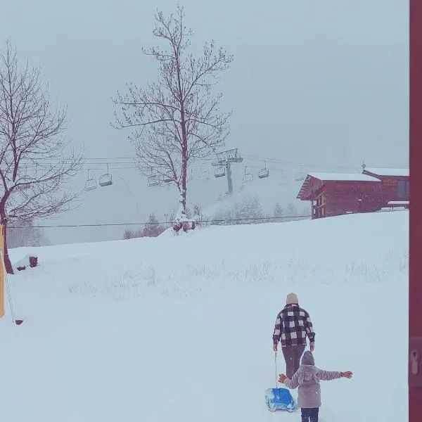 Gazdówka na Mosornym Groniu, ξενοδοχείο σε Zawoja