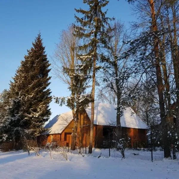 Namiņš Brīviņi, hotel in Jaunjelgava