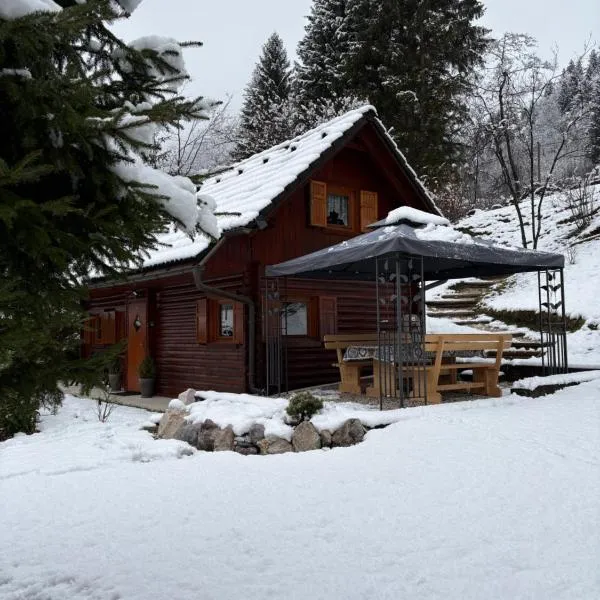 Cottage Ladybug, hotell sihtkohas Mojstrana