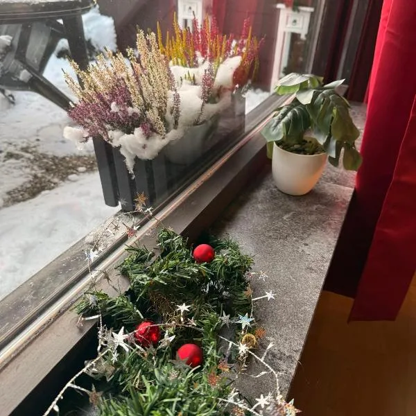 Surki's Loggia an der Sonne, Hotel in Schluchsee