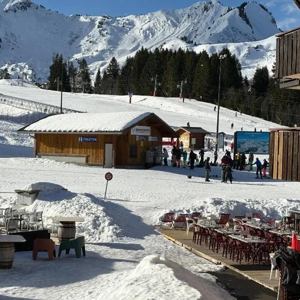 Appartement cosy à la montagne aux pieds des pistes pour 4 personnes et 1 bébé, hotel in Taninges