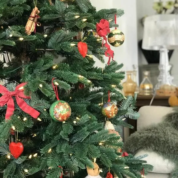 LA MAISON D INÈS and UGOLIN & SPA, hotel in Baccarat