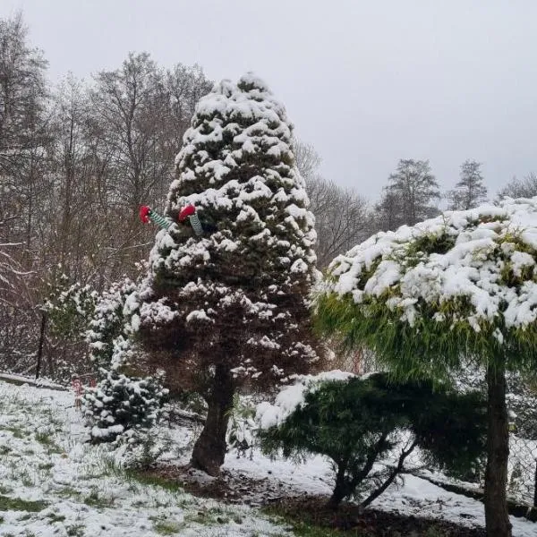 dziupla, hotel in Górki Wielkie