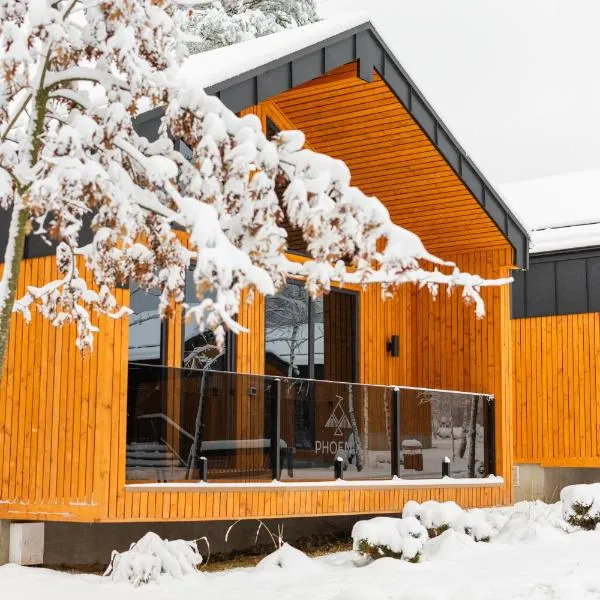 Phoenix Medical Resort, hotel in Skhidnitsa