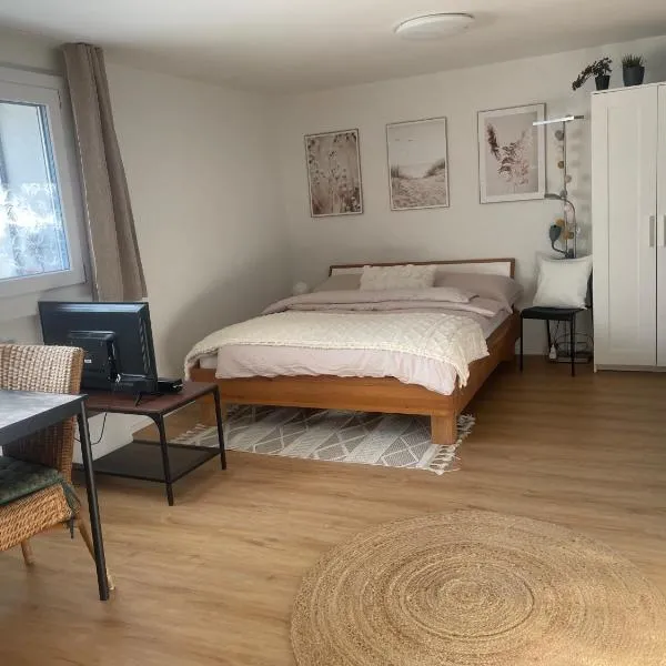 Magnifique studio dans une villa, hotel en Villarsel-le-Gibloux